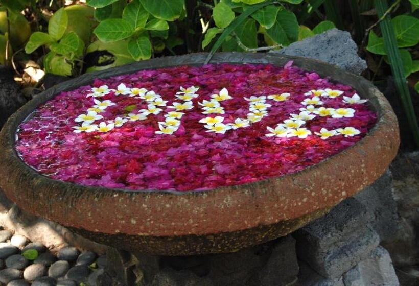 Amed Cafe & Hotel Kebun Wayan