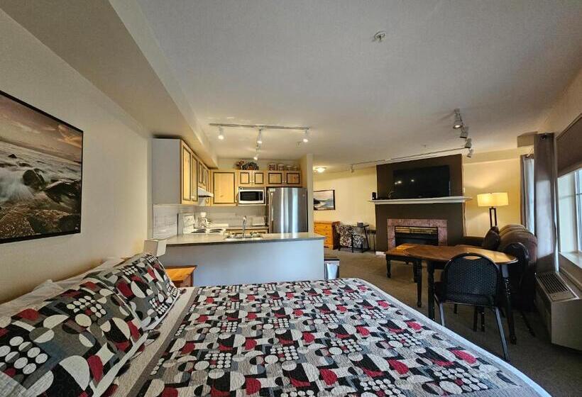 酒店 Borgata Lodge Resort