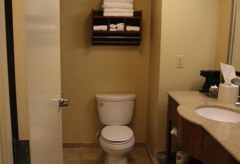 호텔 Hampton Inn Gretna