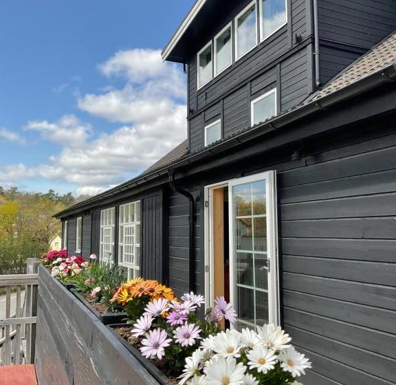 Отель Davids Kulle