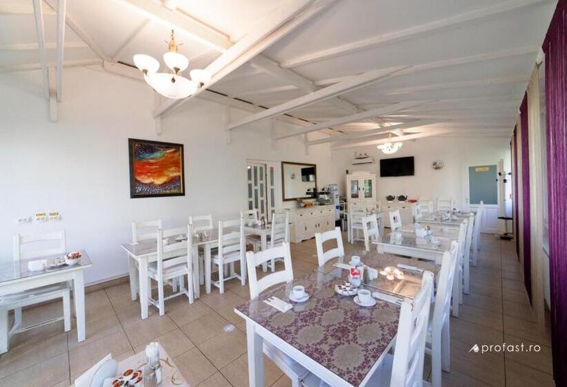 Отель Vila Belvedere