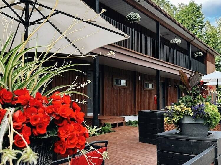 酒店 Hôtel Du Lac Lenore