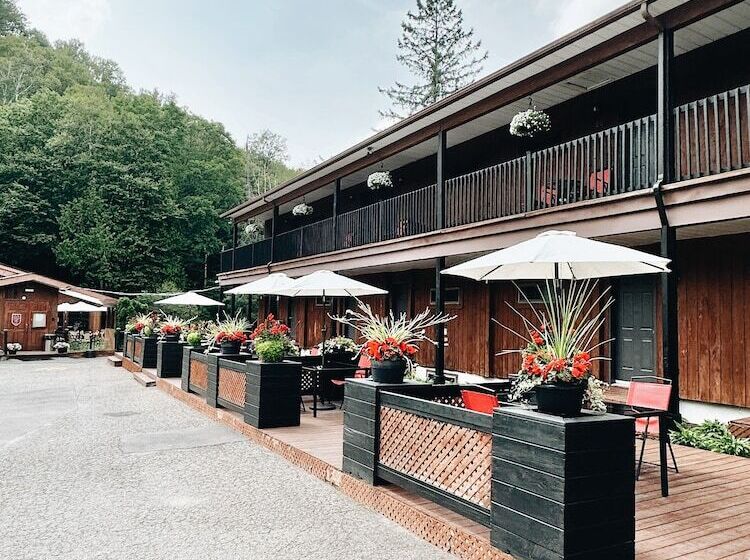 酒店 Hôtel Du Lac Lenore