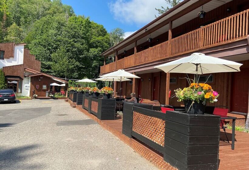 酒店 Hôtel Du Lac Lenore