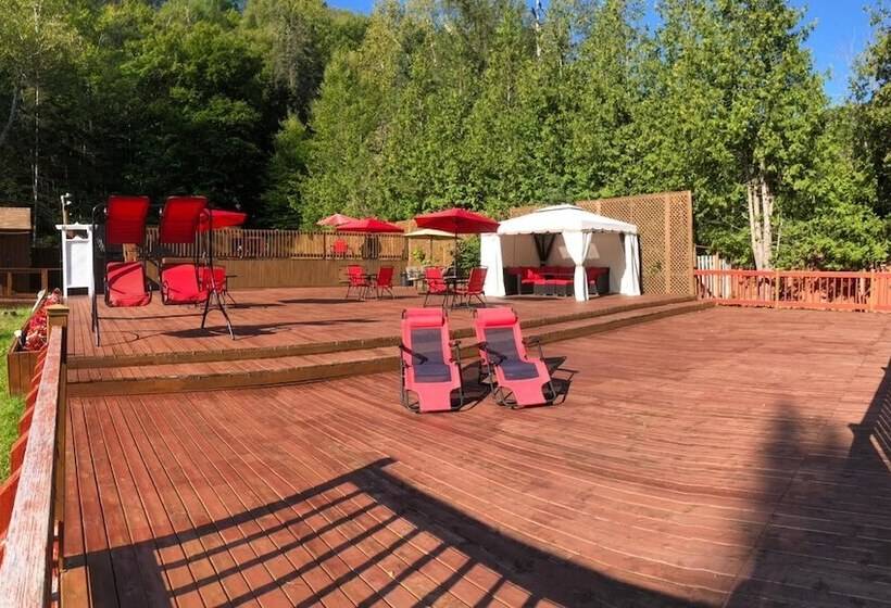 酒店 Hôtel Du Lac Lenore