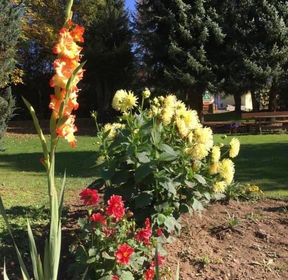 فندق B&b Pension Karlsdorfer Hof