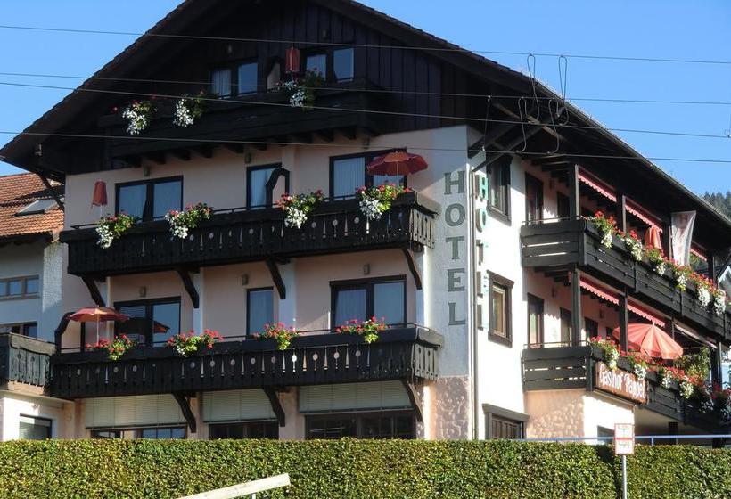 Отель Restaurant Pappel