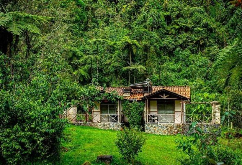 هتل Termales San Vicente