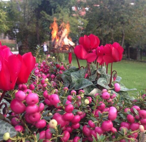 酒店 Vecchia Stazione Mountain Elegance