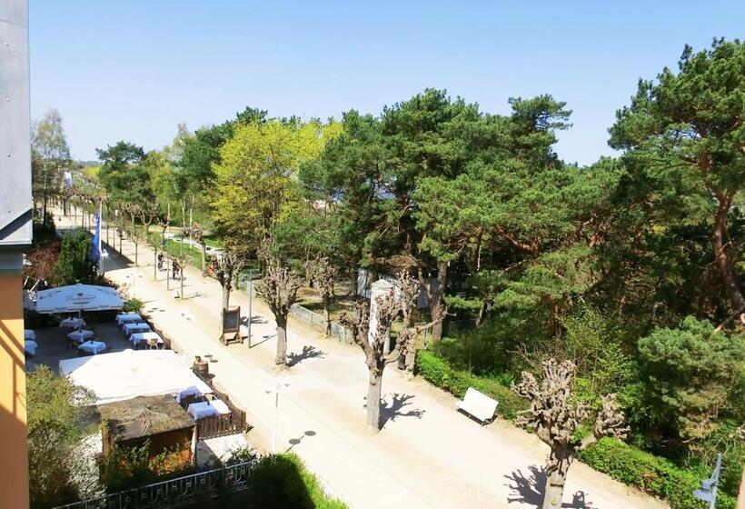 호텔 Villa Strandrose