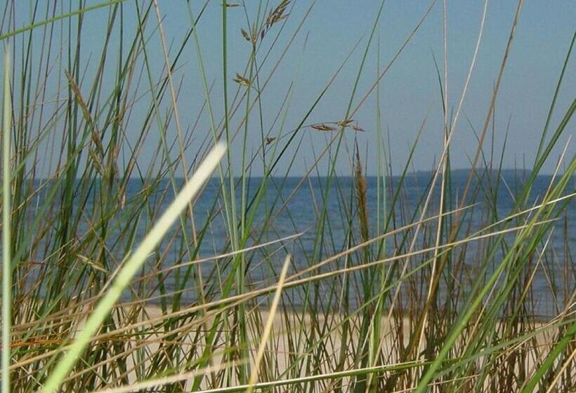 호텔 Villa Strandrose