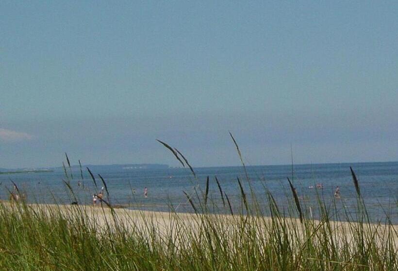 호텔 Villa Strandrose