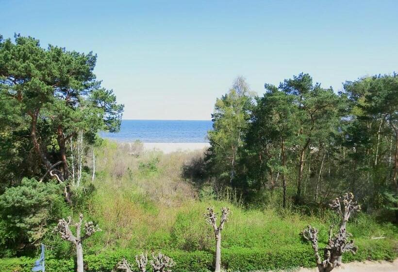 호텔 Villa Strandrose