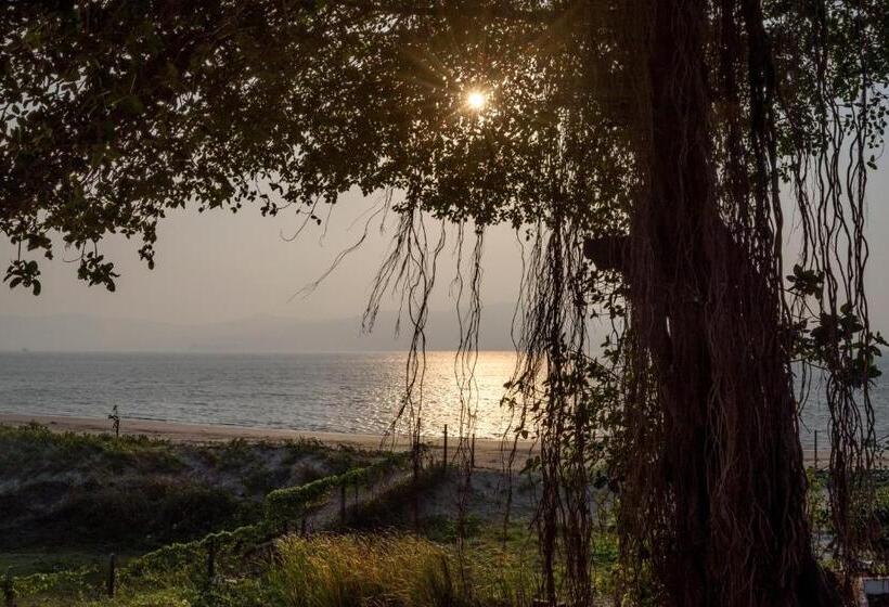 Saffronstays Little Paradise, Murud