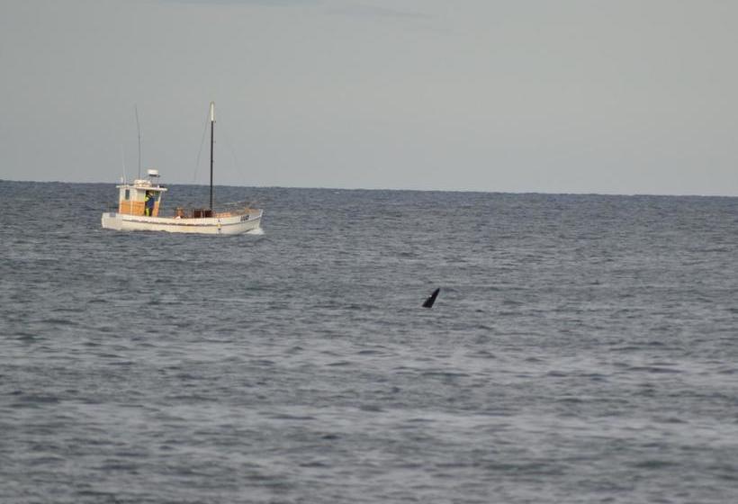 Skenes Creek Lodge Motel And Restaurant