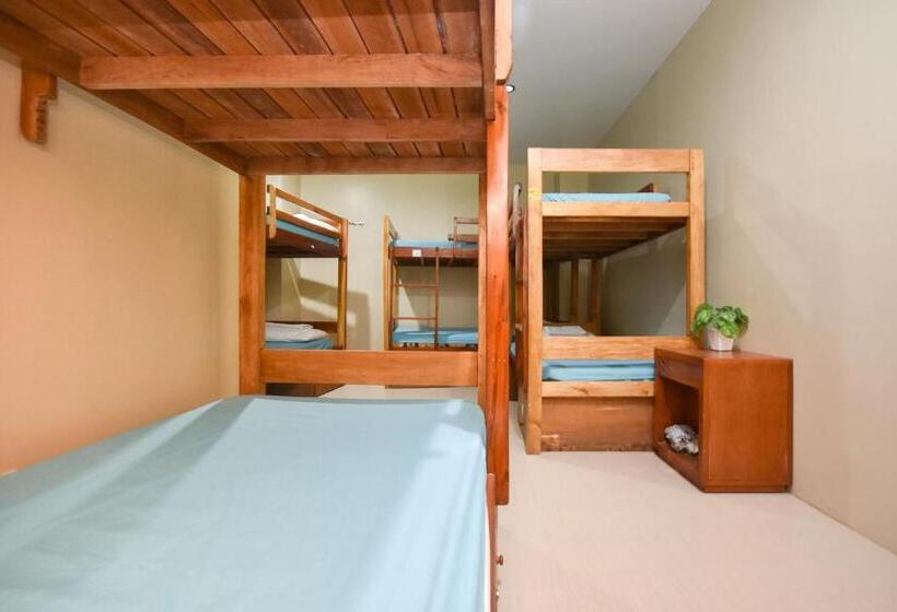 הוסטל Boracay Backpackers