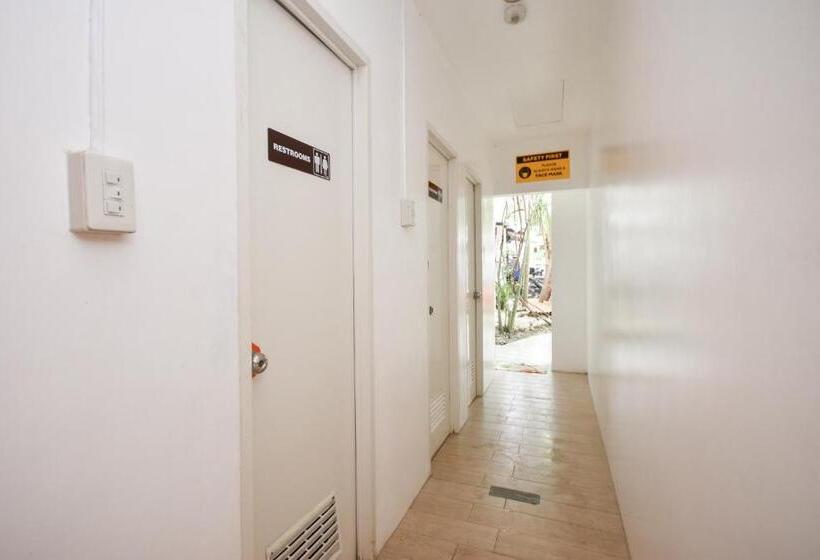 הוסטל Boracay Backpackers