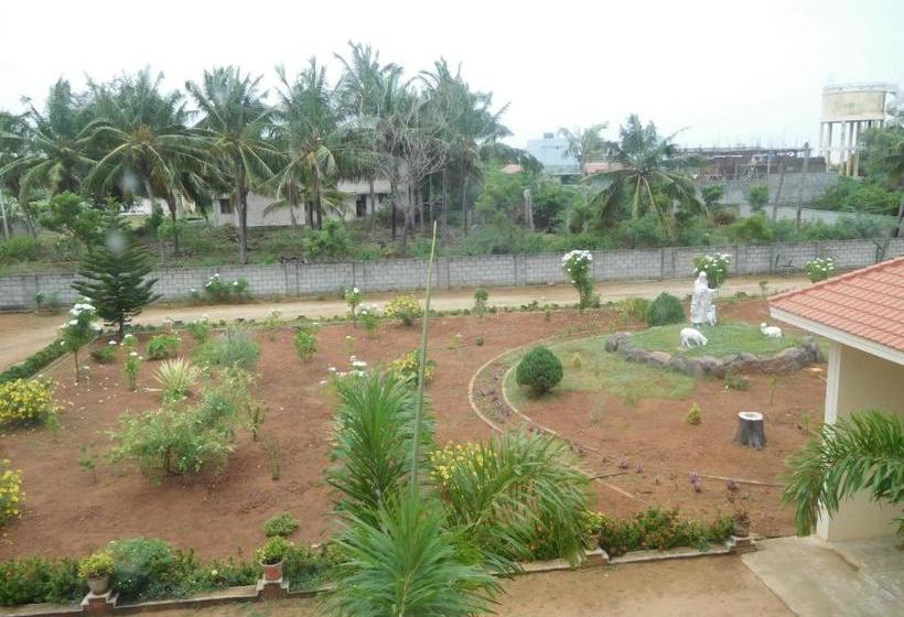 הוסטל Stella Maris Bnb