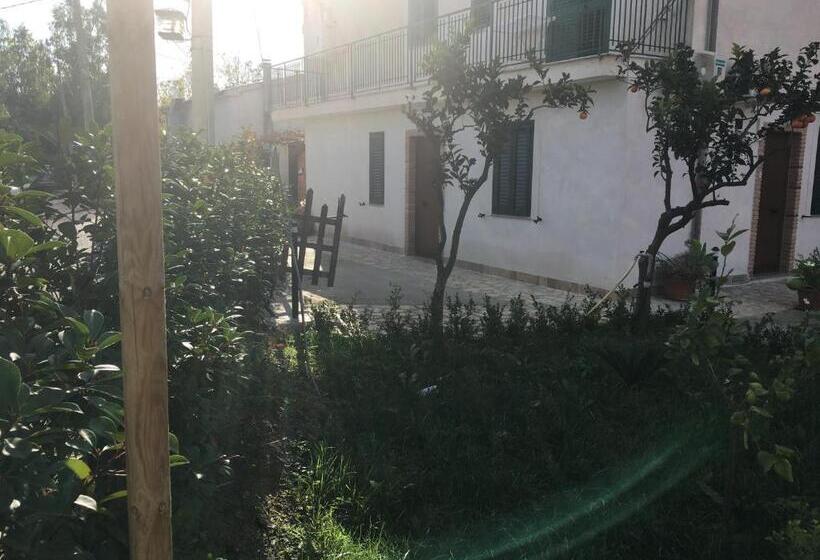 B&b Country House Il Grappolo