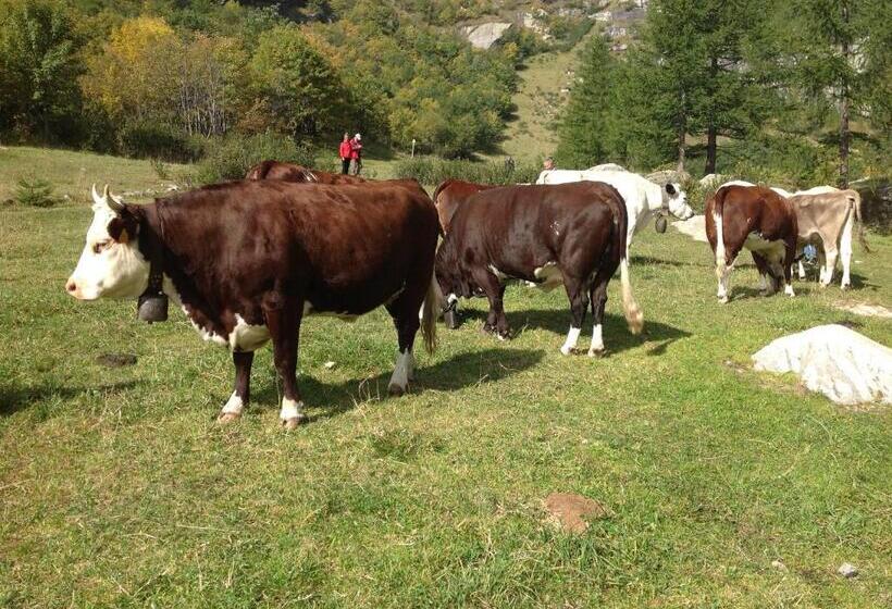 B&b Monte Giove Formazza