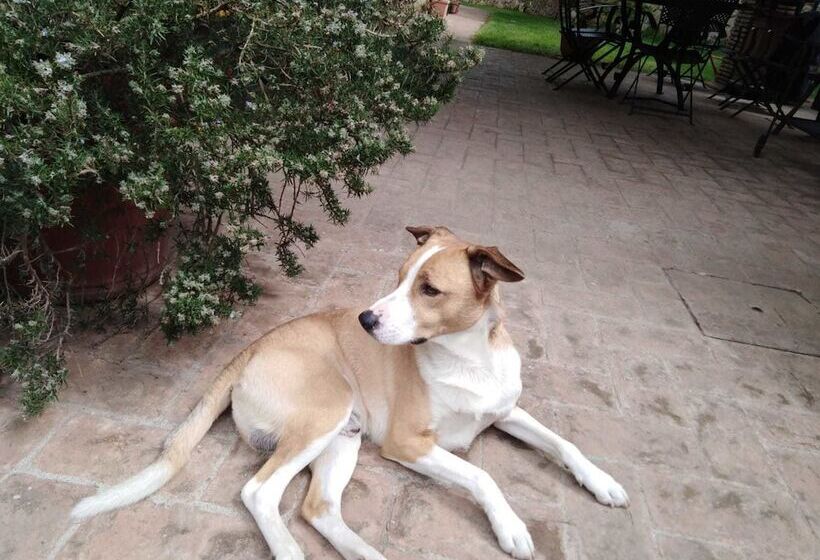 민박 Agriturismo Podere Pescara