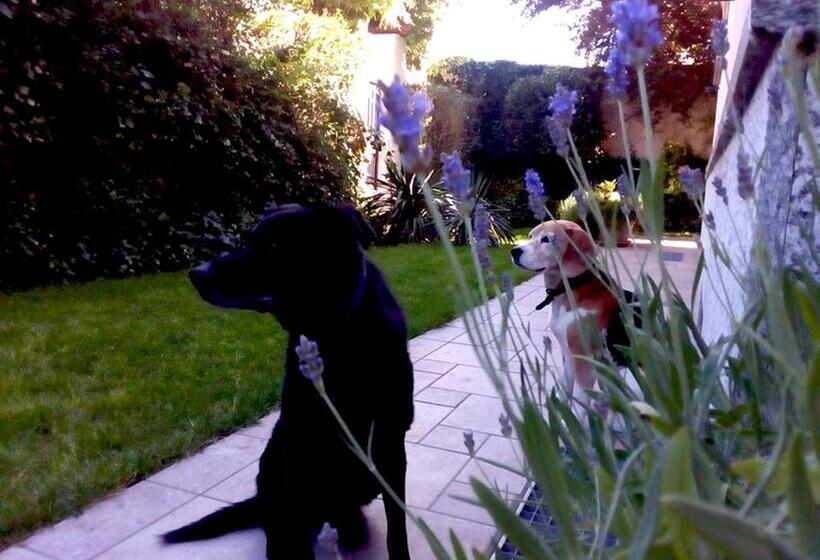 민박 Al Giardino Degli Artisti