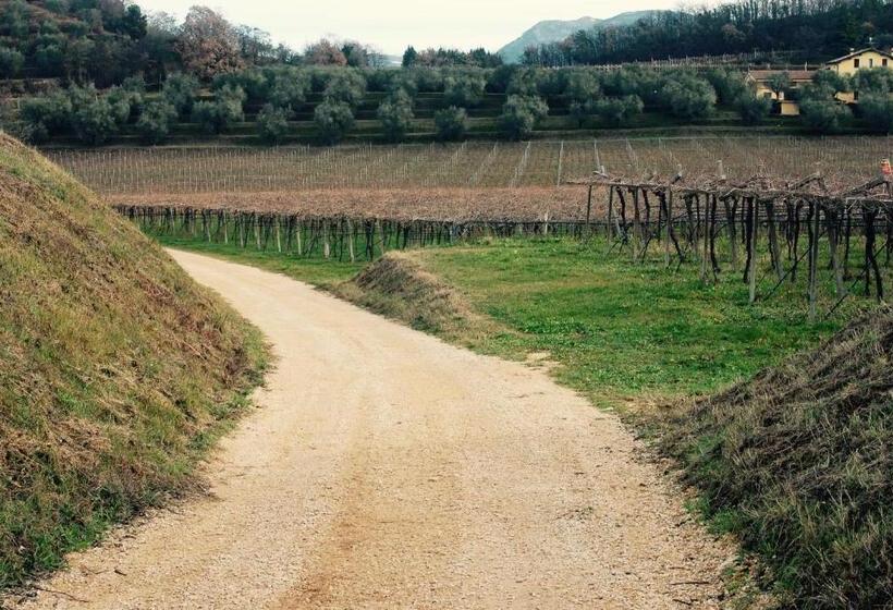 ベッドアンドブレックファースト Azienda Agricola Rovertondo