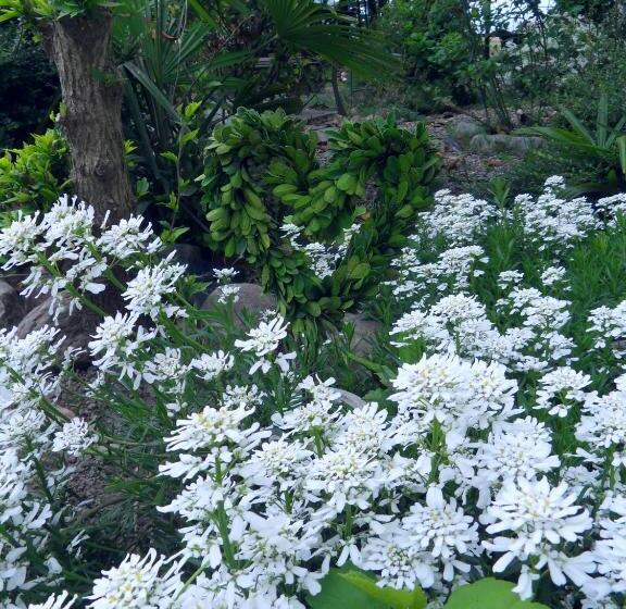 Bed and Breakfast Cuore Verde