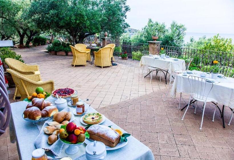 مبيت وإفطار Donnasilia