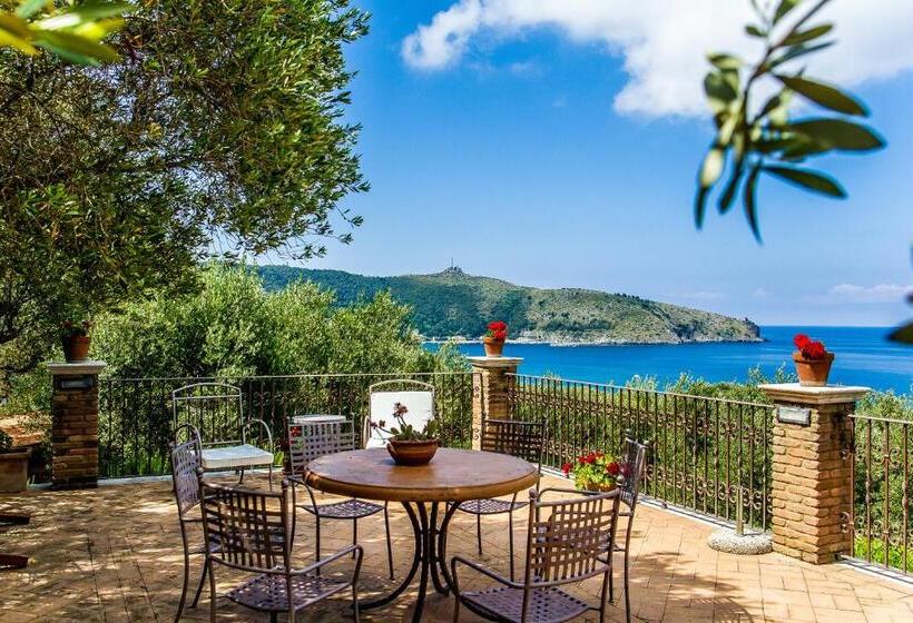 مبيت وإفطار Donnasilia