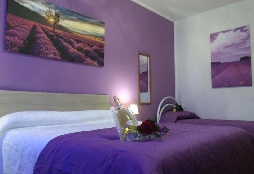 住宿加早餐  I Templari