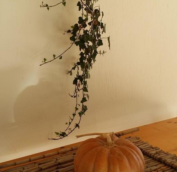 צימר Il Melograno