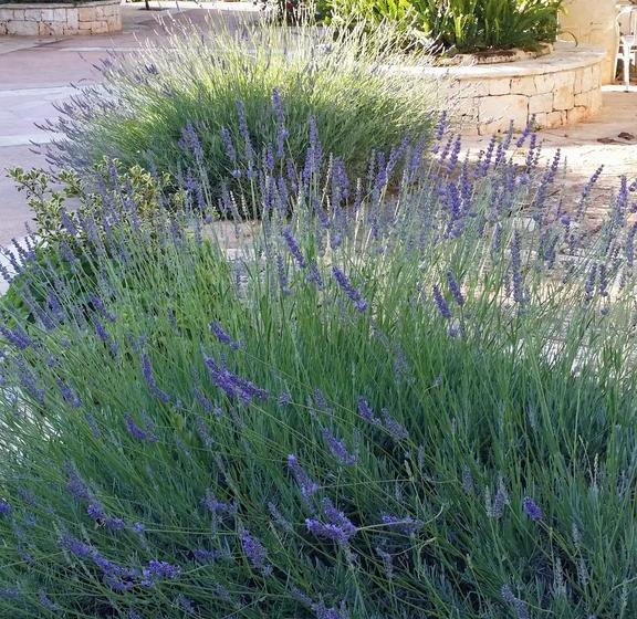 צימר Il Melograno