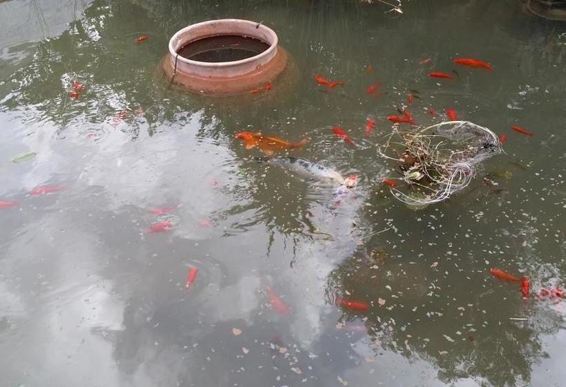 צימר Il Melograno