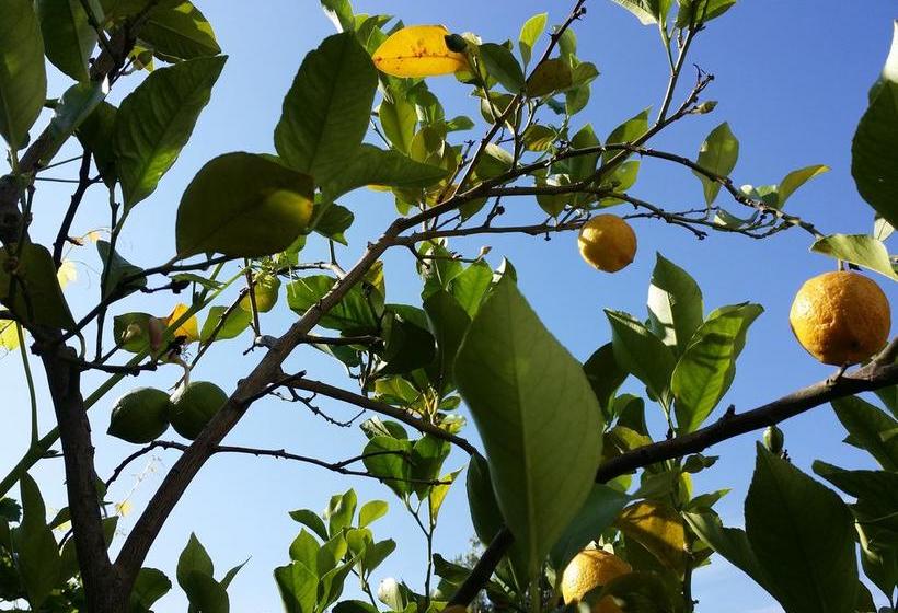 צימר Il Melograno