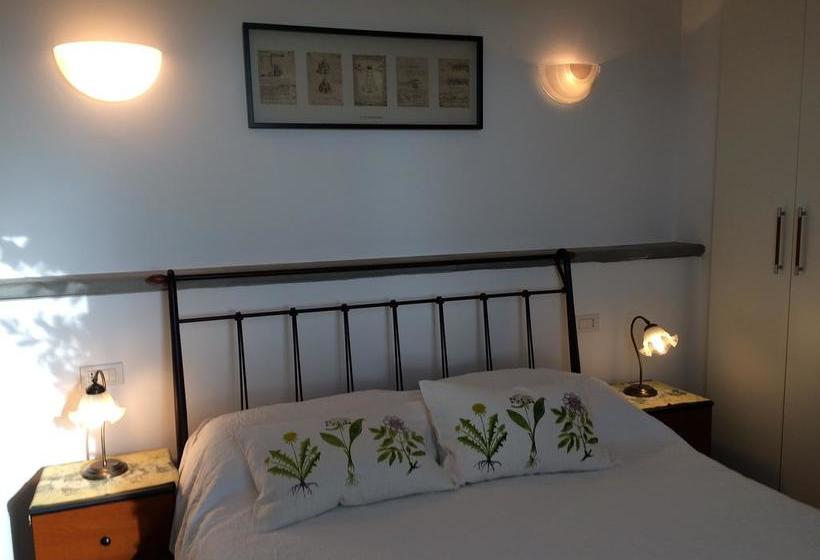 مبيت وإفطار Il Vecchio Frantoio