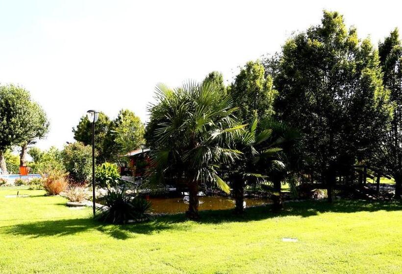 צימר Isola Di Wight