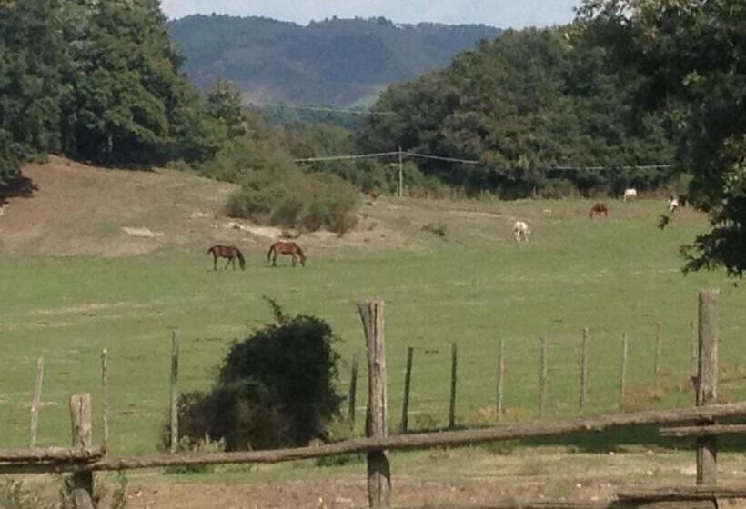 ベッドアンドブレックファースト La Culla Dei Castelli Romani