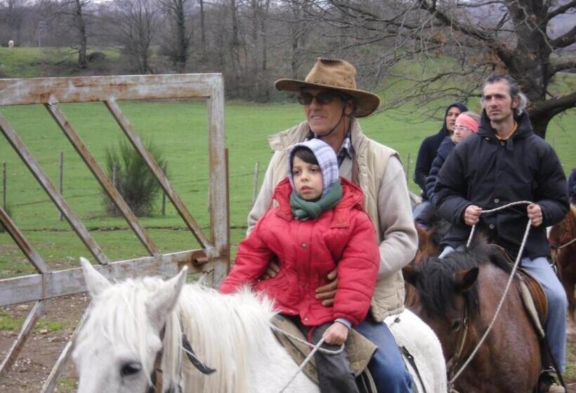 ベッドアンドブレックファースト La Culla Dei Castelli Romani