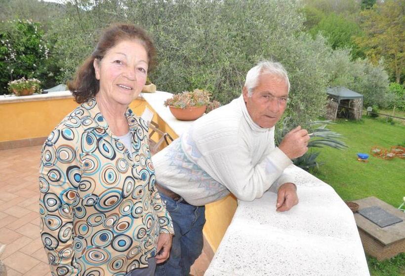 ベッドアンドブレックファースト La Culla Dei Castelli Romani