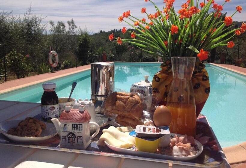 住宿加早餐  La Vecchia Quercia