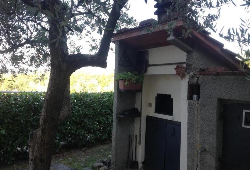 Bed and Breakfast La Vecchia Quercia