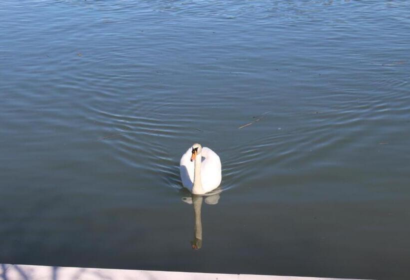 مبيت وإفطار Marelaguna Rooms