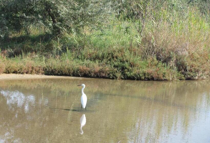 مبيت وإفطار Marelaguna Rooms
