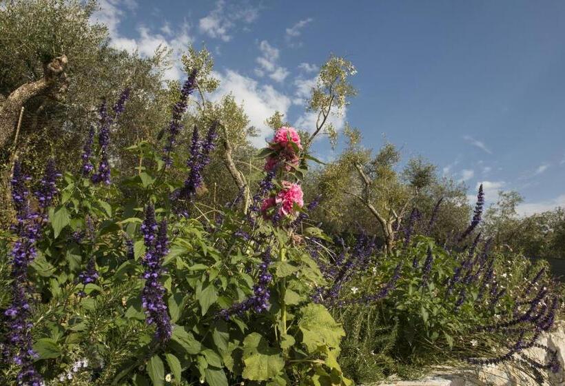 مبيت وإفطار Villa Gilda Relax & Living