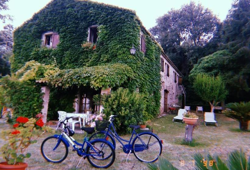 مبيت وإفطار Vista Sul Mare