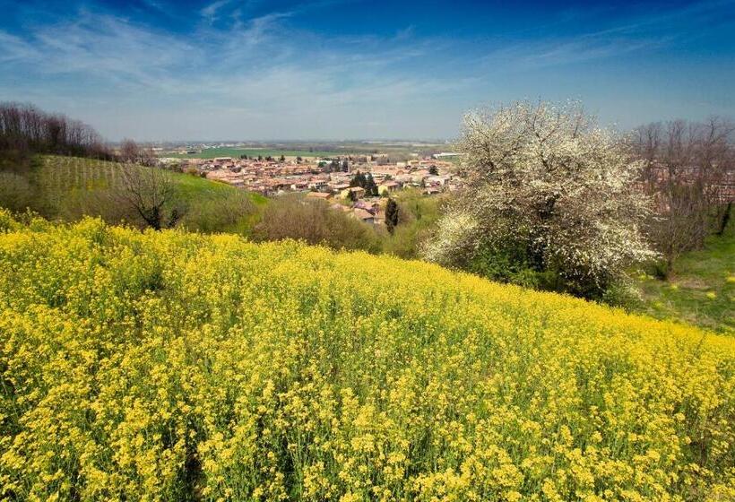 Bed & Breakfast Sforza 19