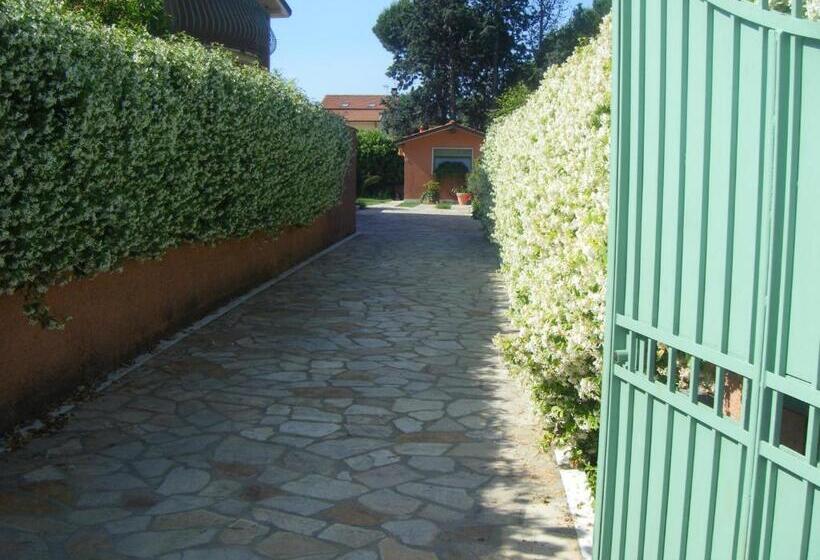 Giusy Bed And Breakfast