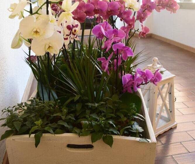 호텔 Albergo Ristorante Orazio