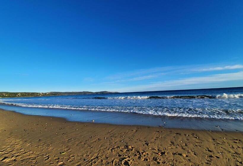 ホテル Hôtel Les Eucalyptus